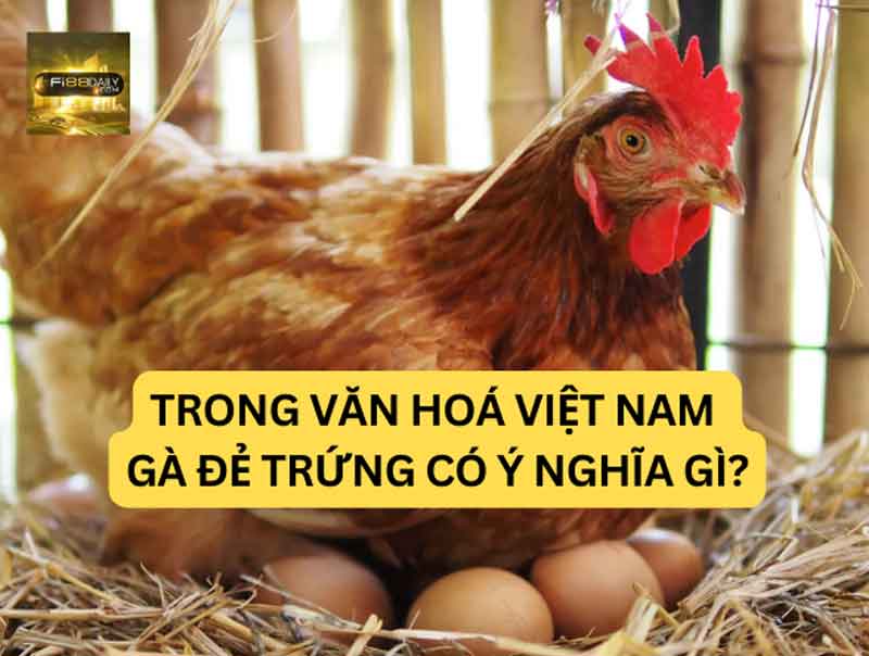 Trong văn hoá Việt Nam gà đẻ trứng có ý nghĩa gì